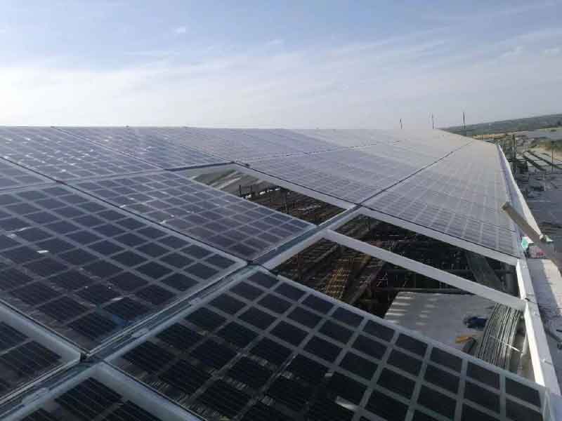 280W transparent solar module for rooftop application
